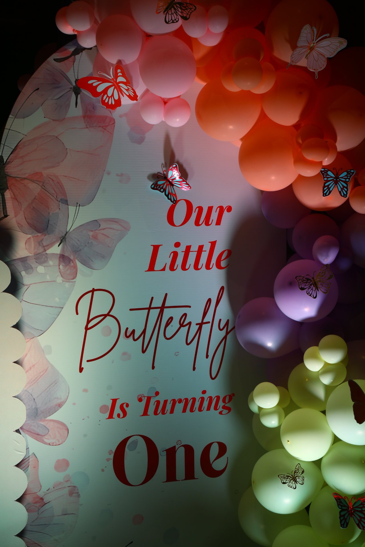 Birthday Photography - Photo 19
