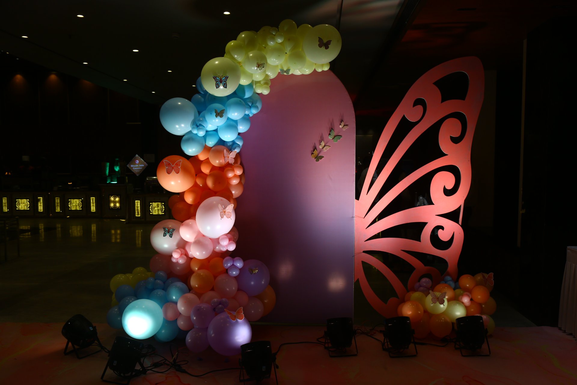 Birthday Photography - Photo 21