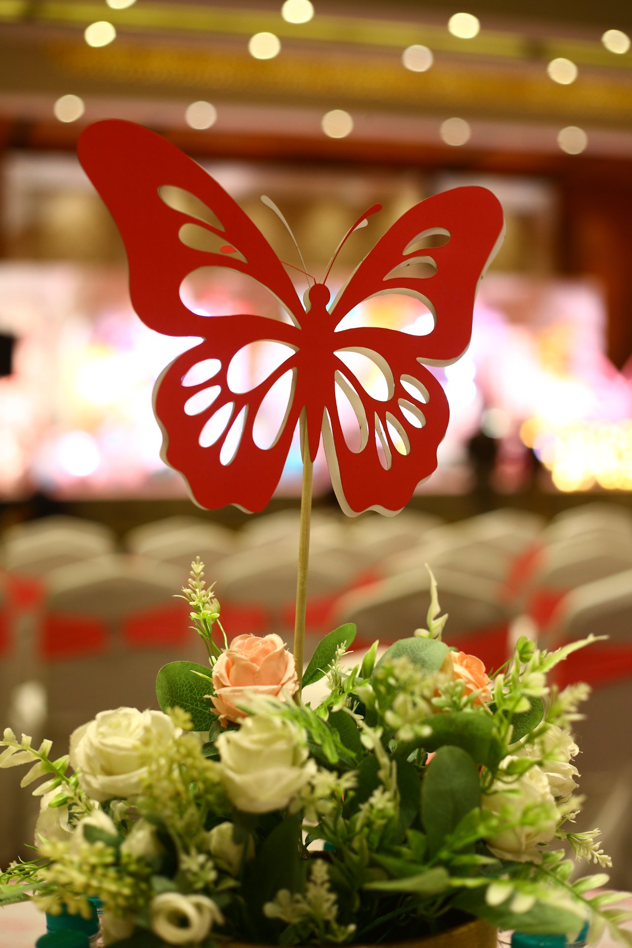 Birthday Photography - Photo 27