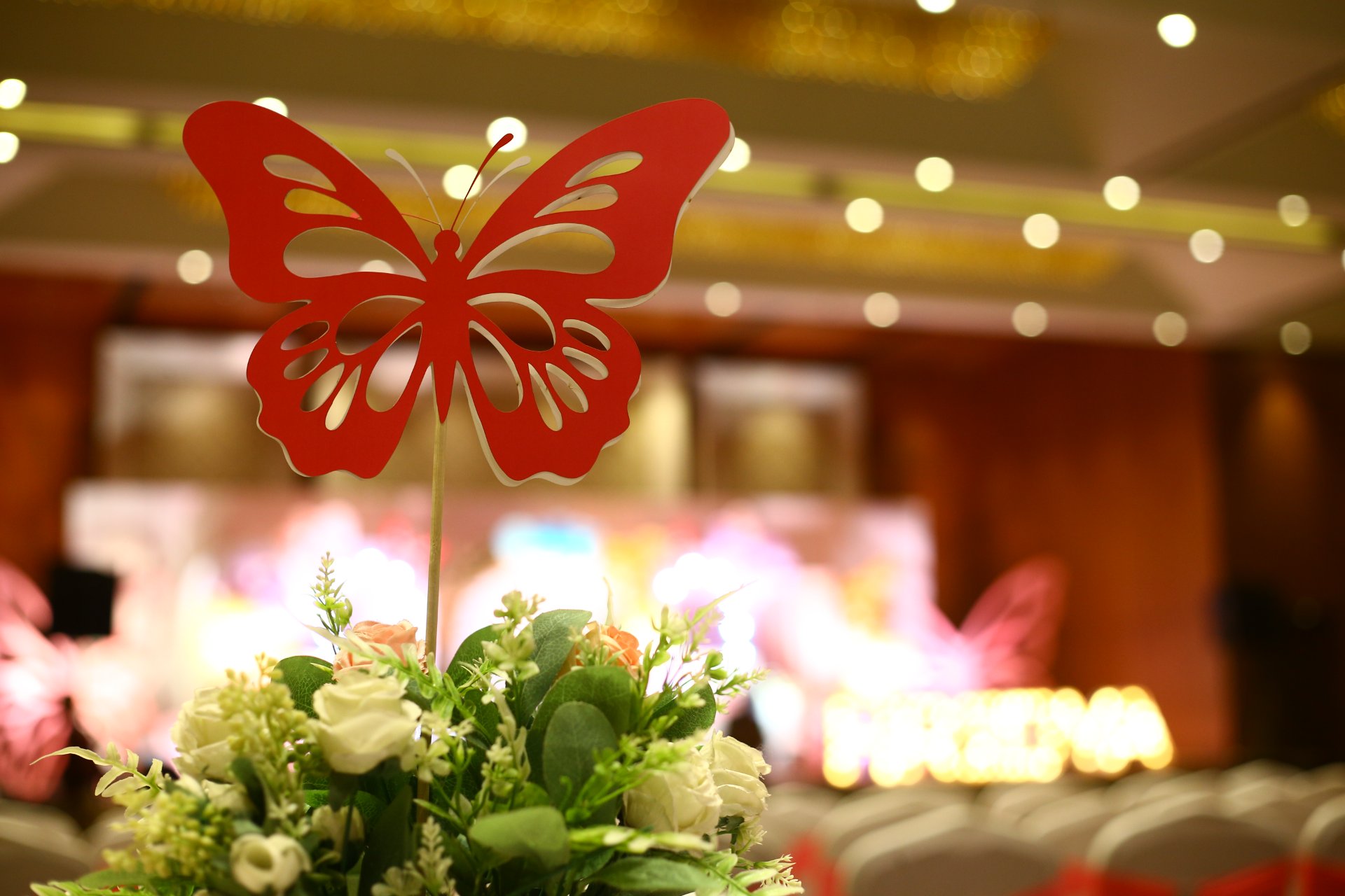 Birthday Photography - Photo 28