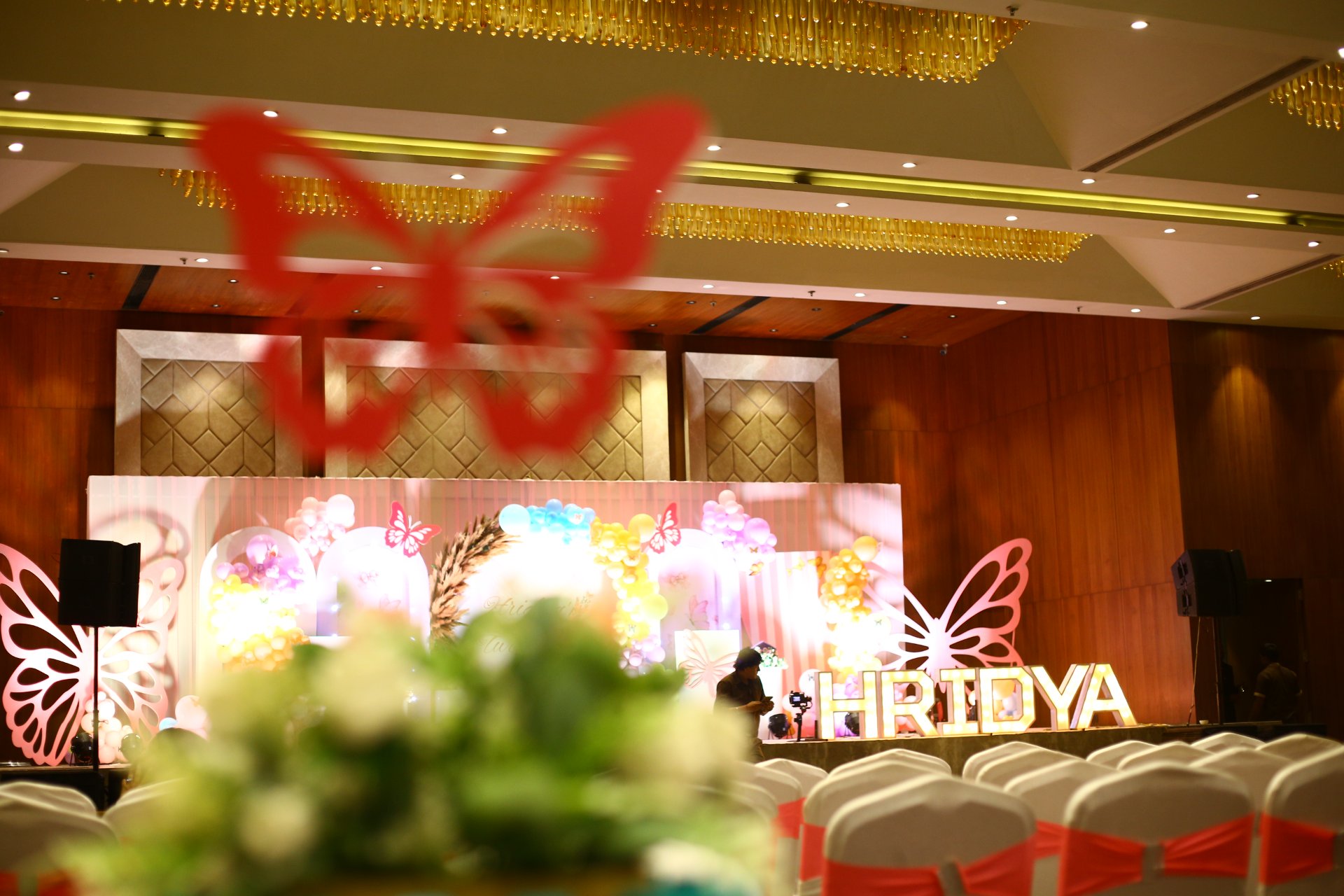 Birthday Photography - Photo 29