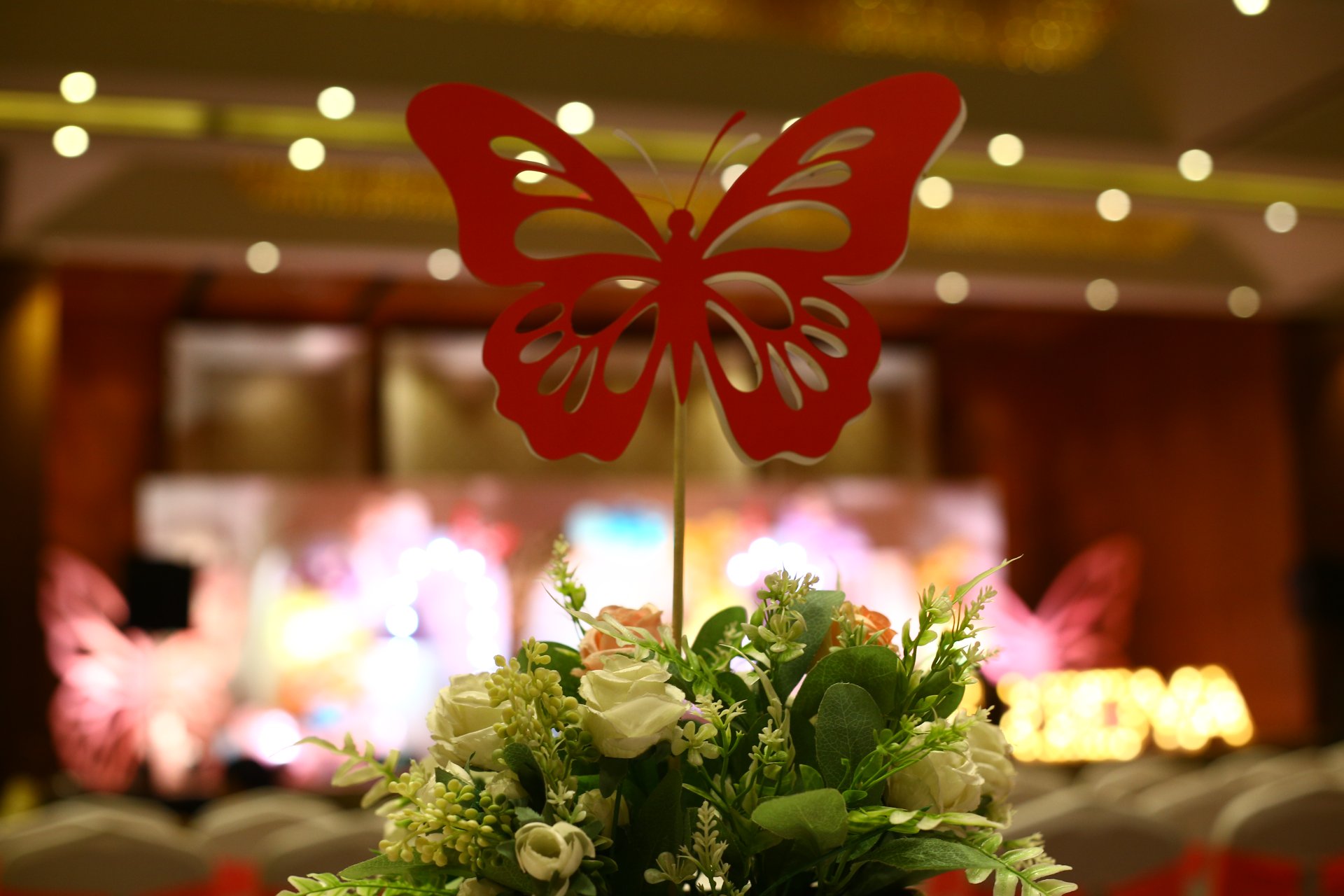 Birthday Photography - Photo 30