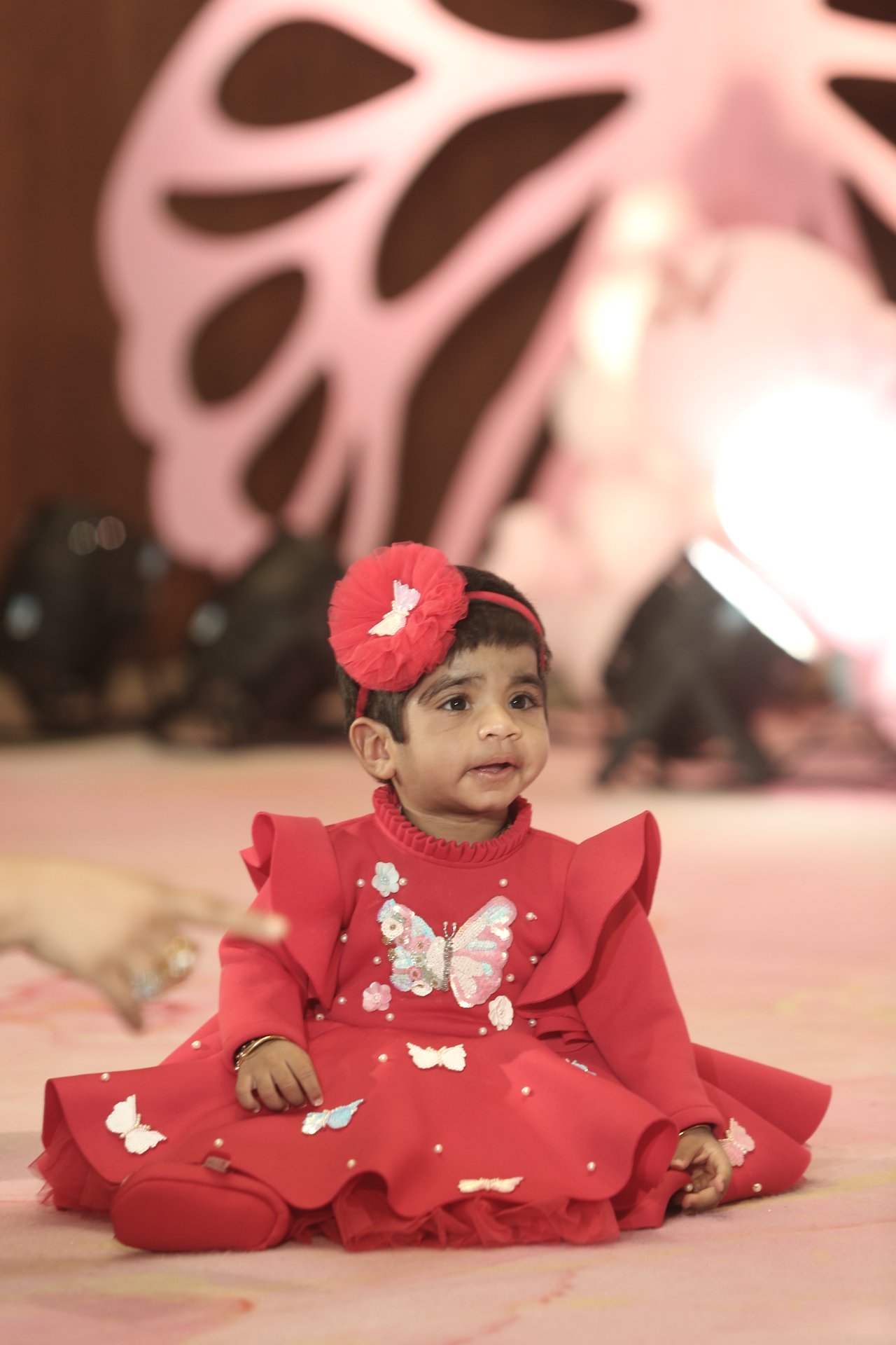 Birthday Photography - Photo 40