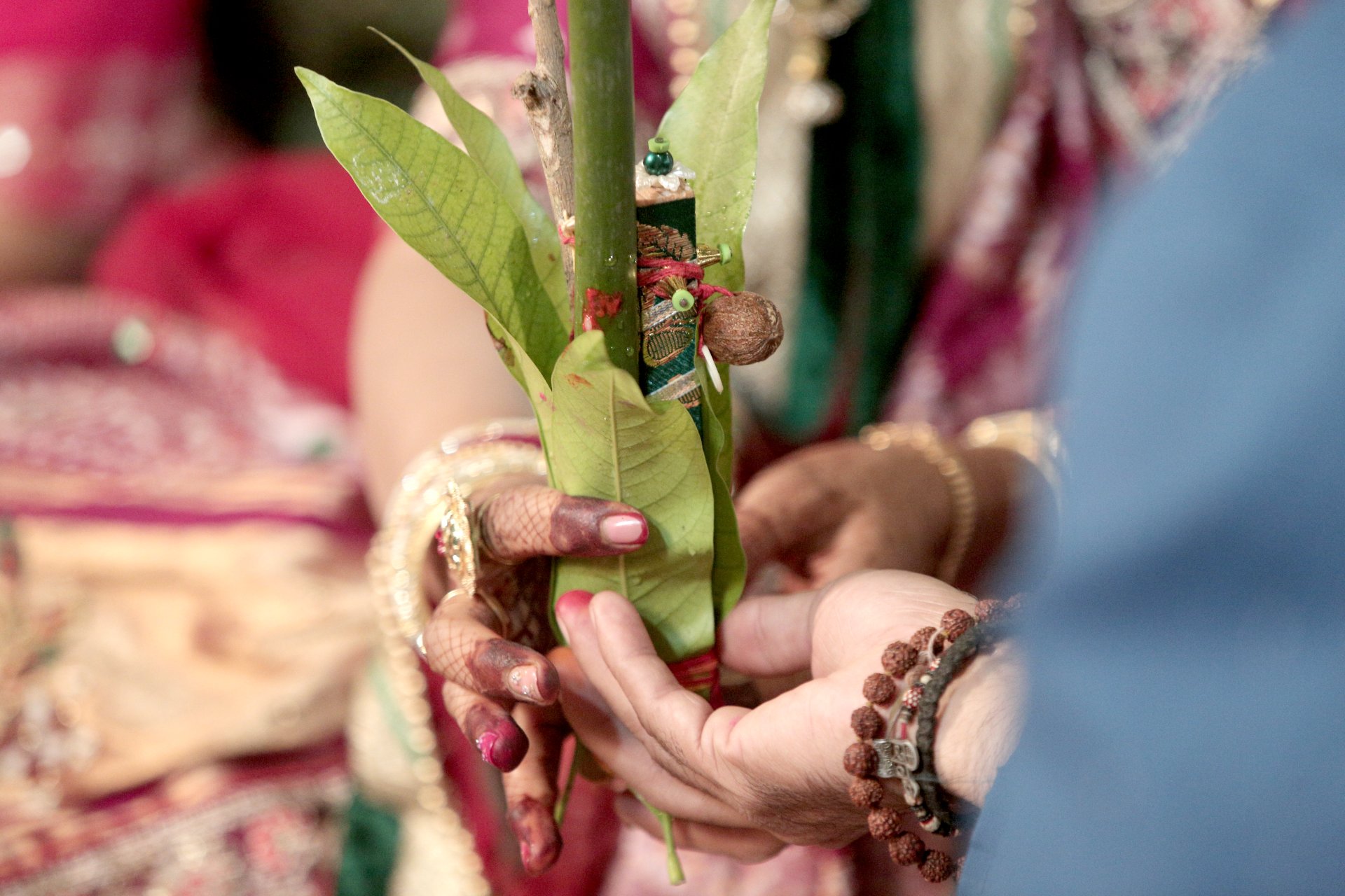 Wedding Photography - Photo 13
