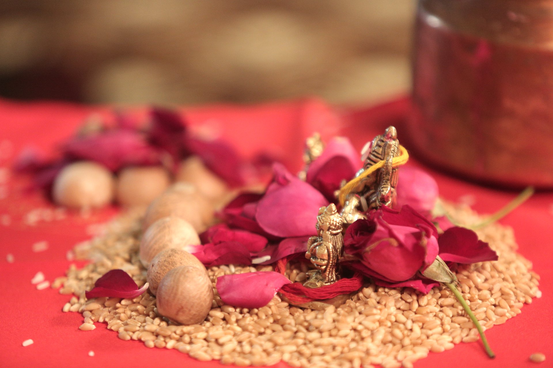 Wedding Photography - Photo 17
