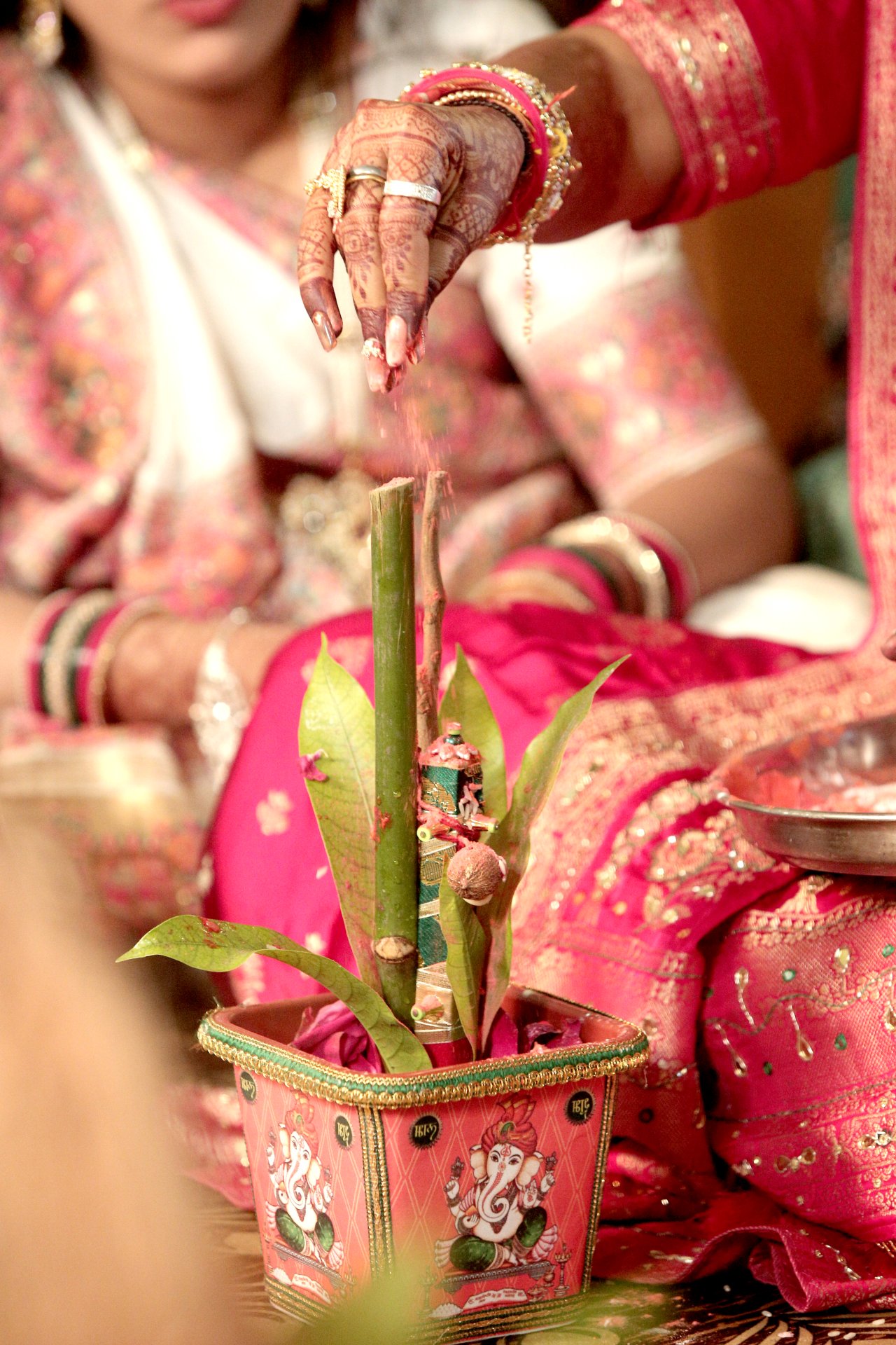 Wedding Photography - Photo 18