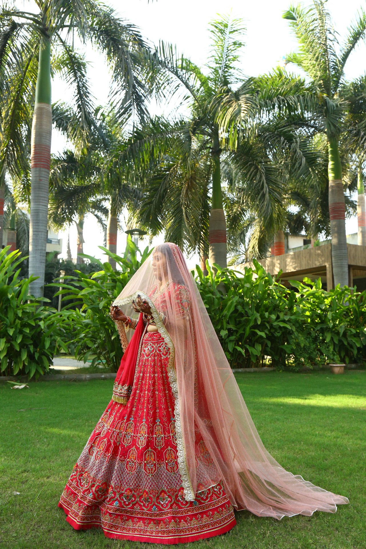 Wedding Photography - Photo 253