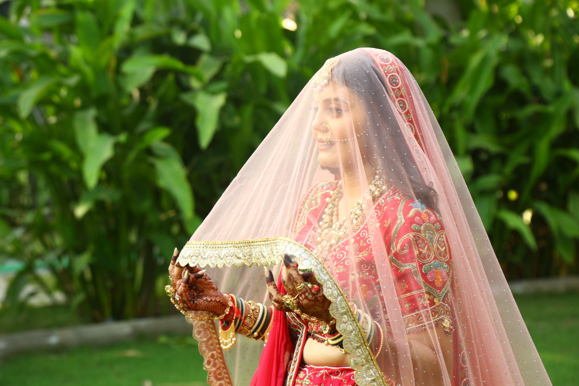 Wedding Photography - Photo 254
