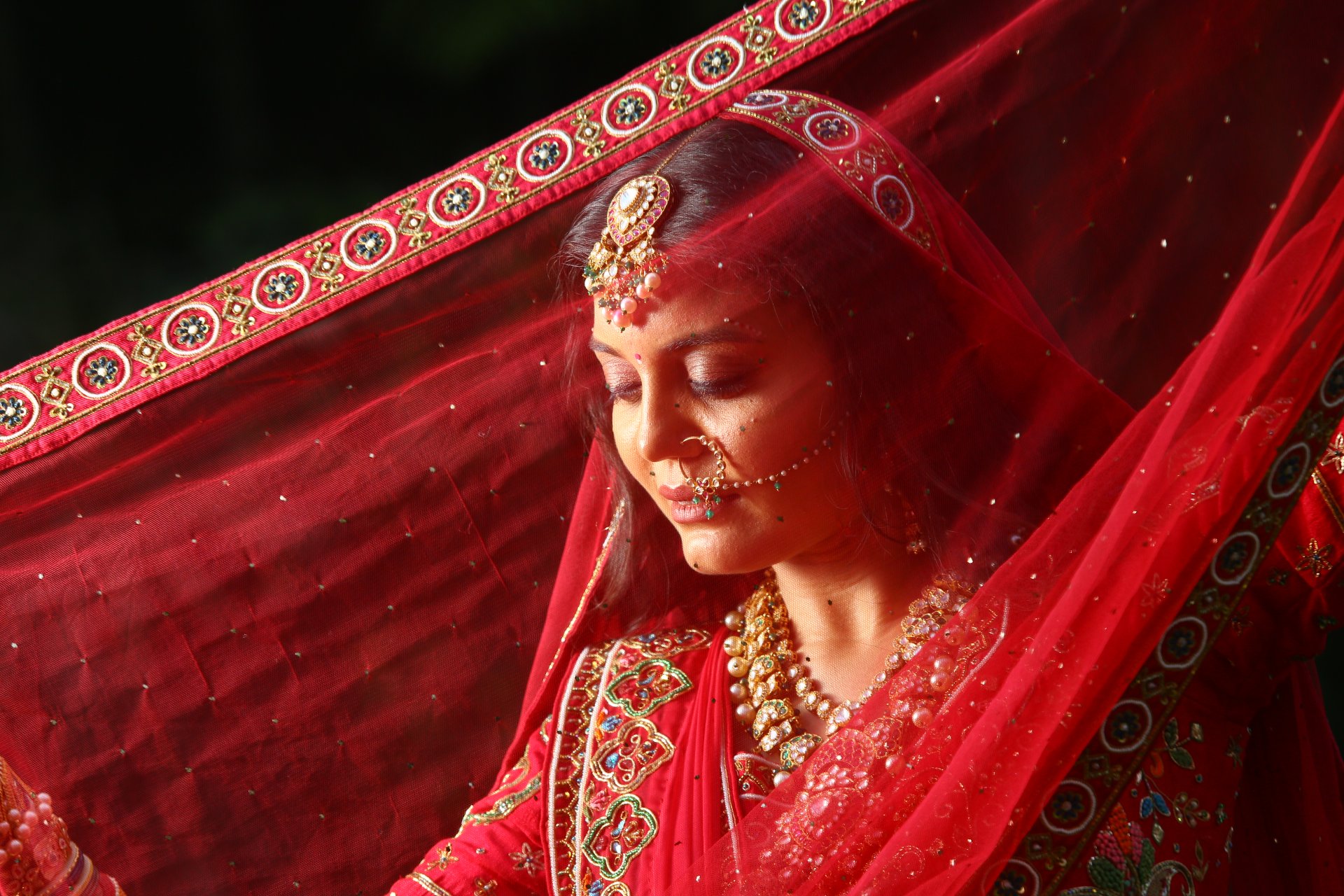 Wedding Photography - Photo 272