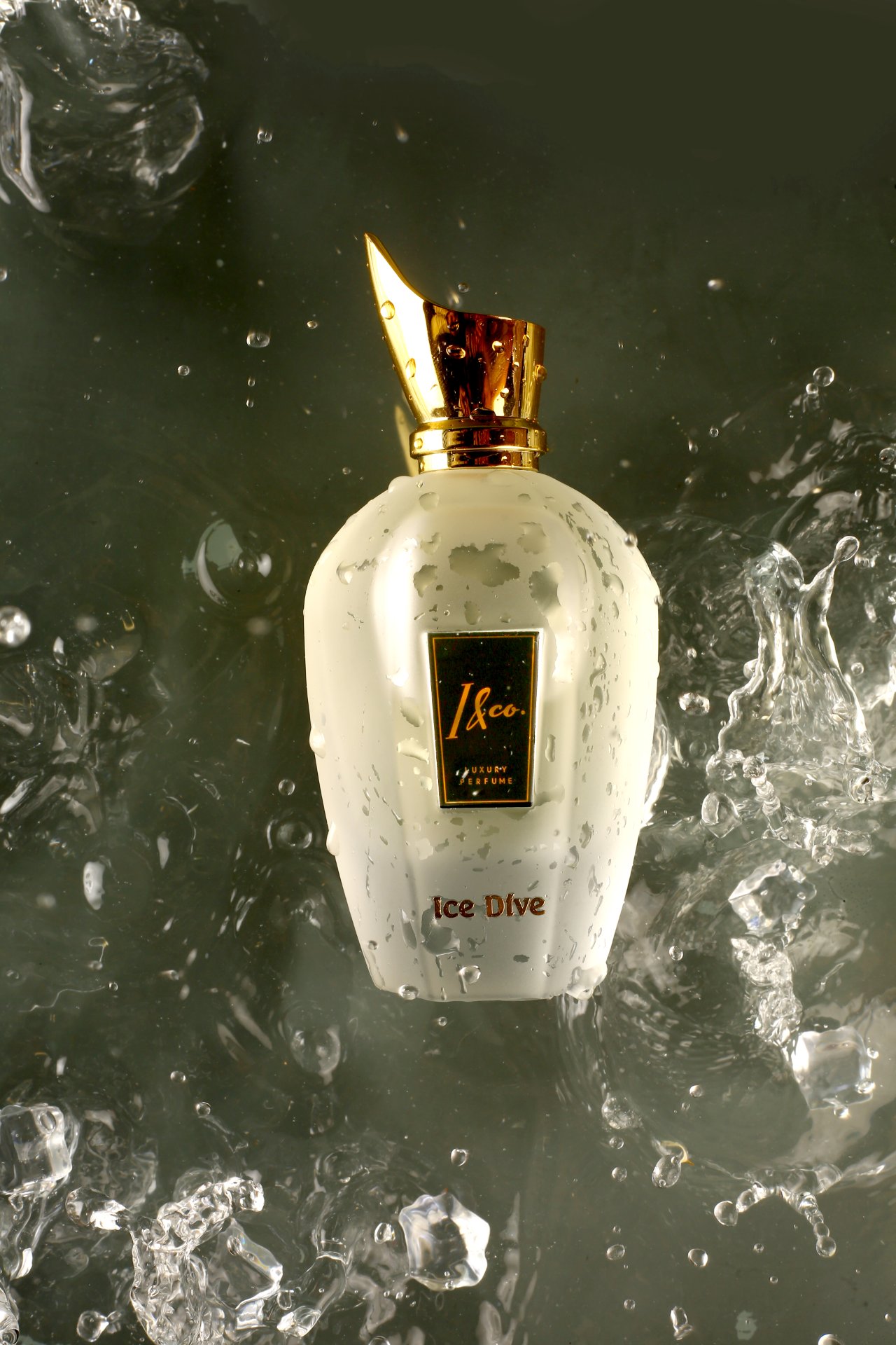 Product Photography - Photo 74