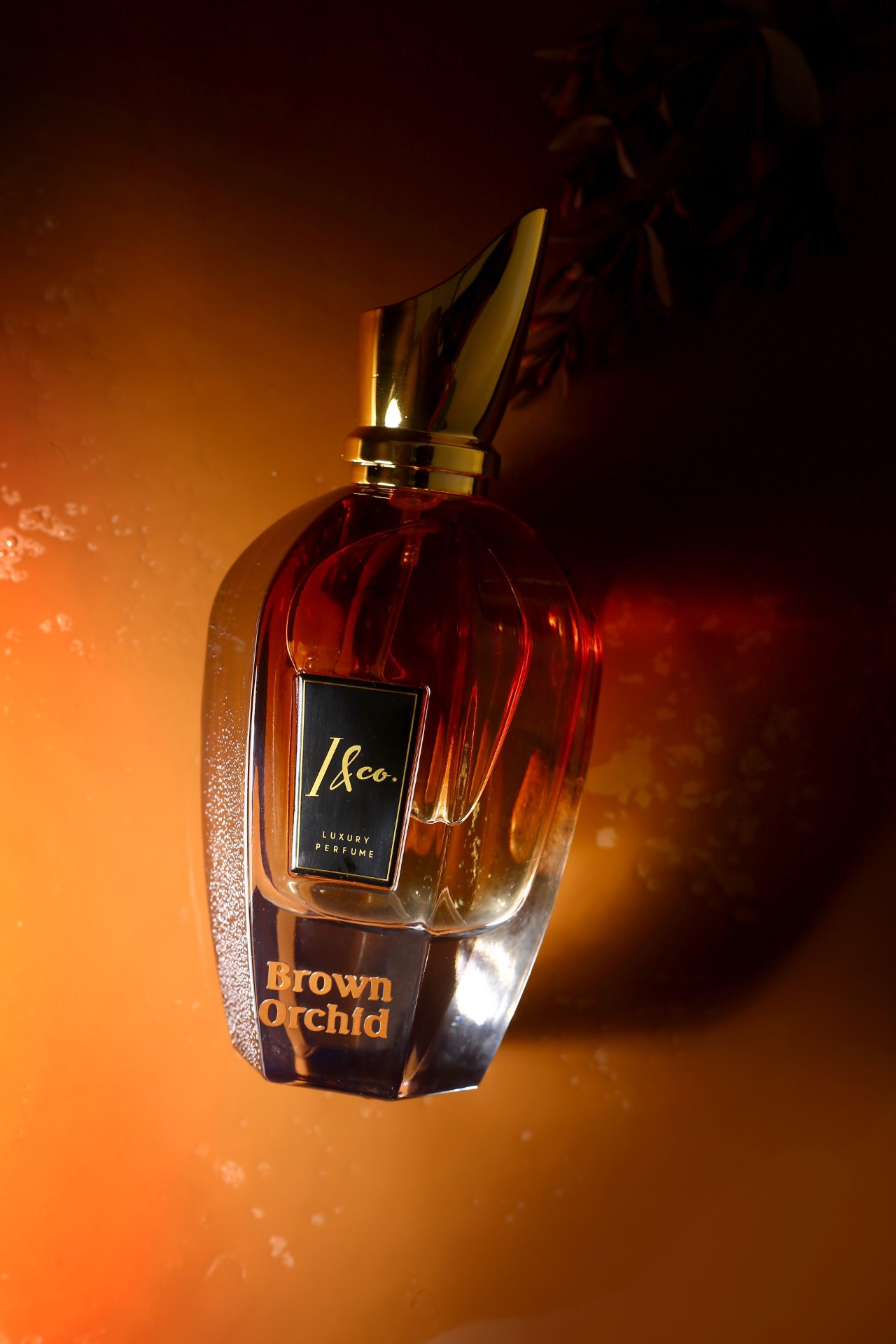 Product Photography - Photo 80