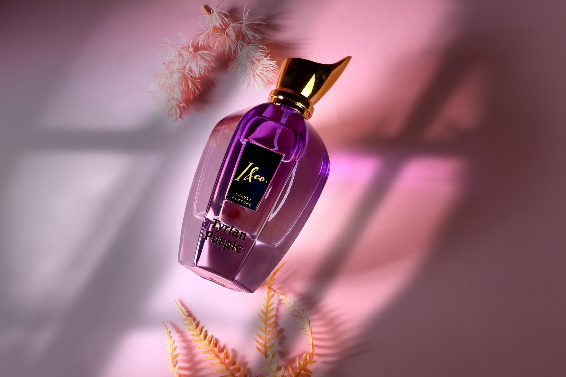 Product Photography - Photo 85