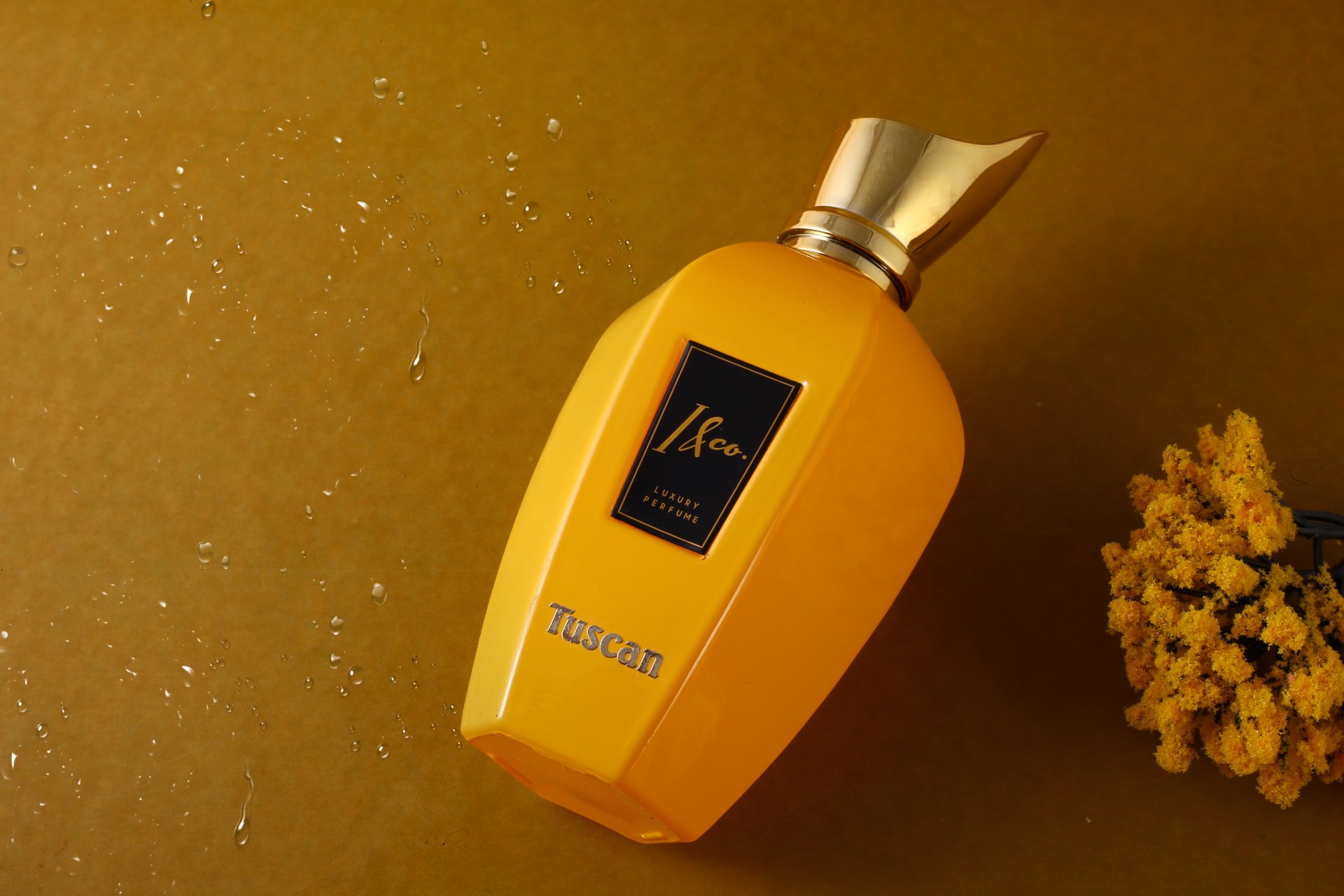 Product Photography - Photo 105